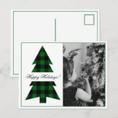 prettige feestdagen Foto Buffalo Plays Briefkaart (Voorkant / Achterkant)