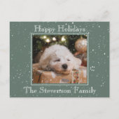 Prettige feestdagen Foto van Snow Overlay Budget G (Voorkant)