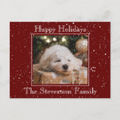 Prettige feestdagen Foto van Snow Overlay Budget R (Voorkant)