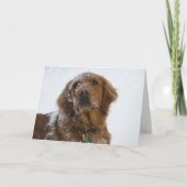 Prettige Feestdagen Gewenst (Voorkant)