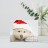 Prettige feestdagen Goud Wit hond Puppy | FOTO (Staand voorkant)