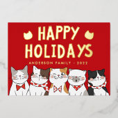 Prettige Feestdagen Grappige Cute Katten Kerstlied (Voorkant)
