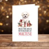 Prettige feestdagen Grappige Maltese kerst