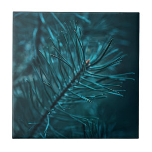 prettige feestdagen Green Pine Fir Tree Tegeltje