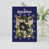 prettige feestdagen groet. Tuxedo kat. (Staand voorkant)