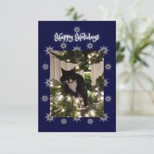 prettige feestdagen groet. Tuxedo kat. (Staand voorkant)