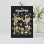 prettige feestdagen groet. Tuxedo kat. (Staand voorkant)