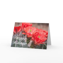 Prettige feestdagen Hedgehog Cactus