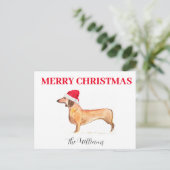 Prettige feestdagen Hond Dachshund Elegante waterv (Staand voorkant)