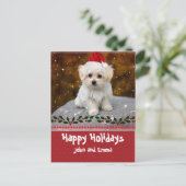 Prettige feestdagen JO, Maltese puppy, (Staand voorkant)