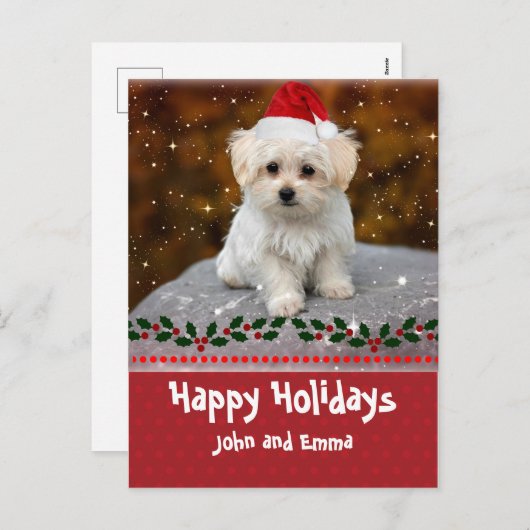 Prettige feestdagen JO, Maltese puppy, (Voorkant / Achterkant)