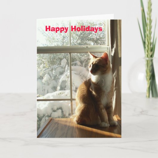 prettige feestdagen kaart (Voorkant)