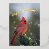 Prettige feestdagen Kardinaal op Evergreen in de s (Voorkant)