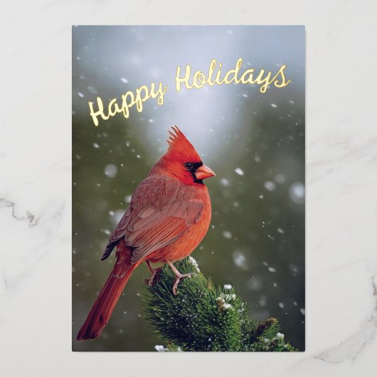Prettige feestdagen Kardinaal op Evergreen in de s (Voorkant)