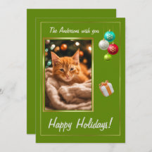 Prettige feestdagen kat Christmas kitten 2,