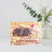 prettige feestdagen Kat Foto Briefkaart (Staand voorkant)