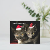 prettige feestdagen Katten Briefkaart (Staand voorkant)