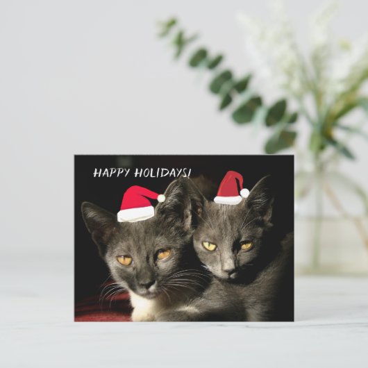 prettige feestdagen Katten Briefkaart (Staand voorkant)