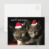 prettige feestdagen Katten Briefkaart (Voorkant / Achterkant)