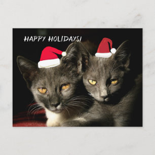 prettige feestdagen Katten Briefkaart