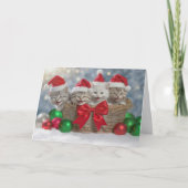 Prettige feestdagen Kerst met een mandje Kittens Kaart (Voorkant)