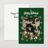 prettige feestdagen. kerstkaart met Tuxedo-kat. (Voorkant / Achterkant)