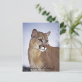 prettige feestdagen leeuwin2, (Staand voorkant)