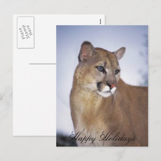 prettige feestdagen leeuwin2, (Voorkant / Achterkant)