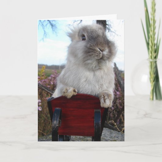 Prettige feestdagen Lionhead Bunny in Sleigh, Kaart (Voorkant)