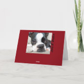 Prettige feestdagen Lola B. Boston Wreath Kaart (Achterkant)