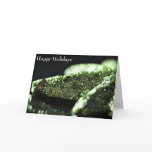 Prettige feestdagen · Medewerker collega-werknemer