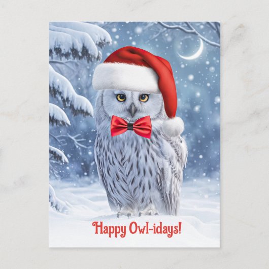 Prettige feestdagen Met Schattigee uil en sneeuw (Voorkant)