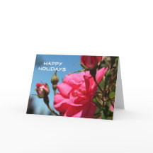 Prettige feestdagen Mooie roze roos bloemen