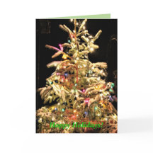 Prettige feestdagen Nee! Echte boom Echte sneeuw! 