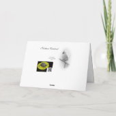 prettige feestdagen Noord-kardinaal Wenskaart B&W (Achterkant)