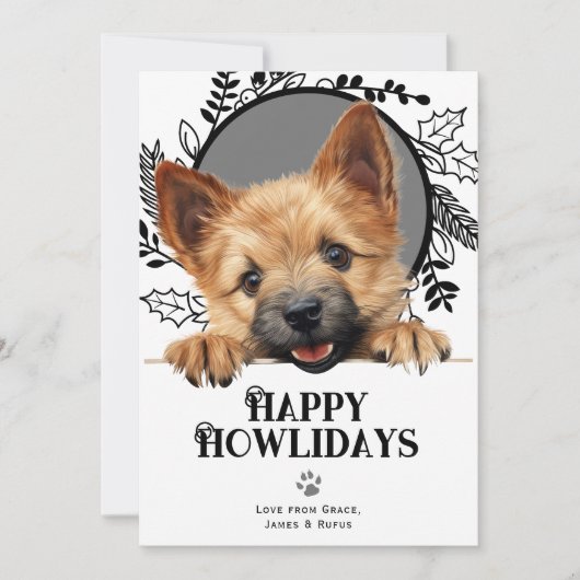 Prettige feestdagen Norwich Terrier Hond Kerstmis Feestdagenkaart (Voorkant)