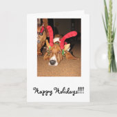 Prettige feestdagen (plural:)!!!! (Voorkant)