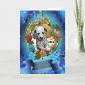 Prettige feestdagen (plural:) (Voorkant)