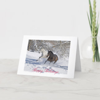 Prettige feestdagen (plural:)