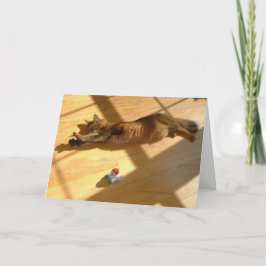 Prettige feestdagen (plural:), de Somalische Stijl