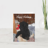 Prettige feestdagen (plural:) - Heldere Shenandoah (Voorkant)