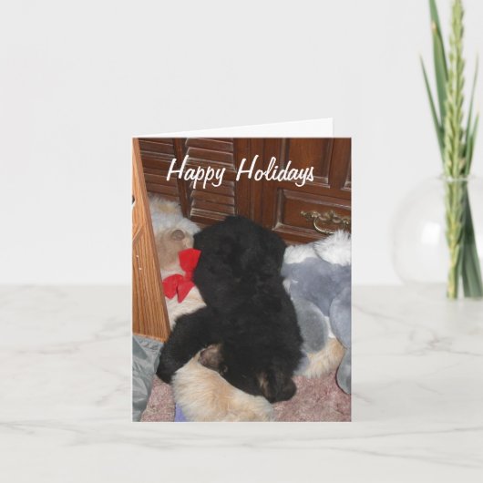 Prettige feestdagen (plural:) - Heldere Shenandoah (Voorkant)