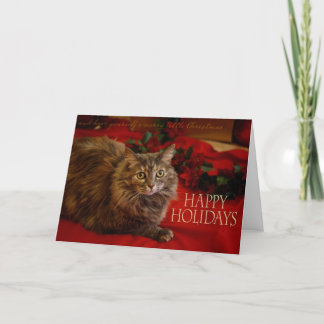 Prettige feestdagen (plural:) kaart