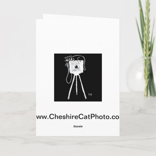 Prettige feestdagen (plural:), Merced Rivier (Achterkant)