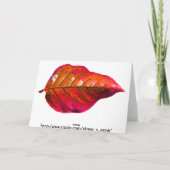 Prettige feestdagen (plural:) op de Baai Kaart (Achterkant)