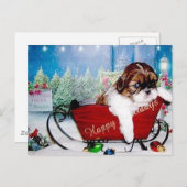 Prettige feestdagen (plural:) Shih Tzu (Voorkant / Achterkant)