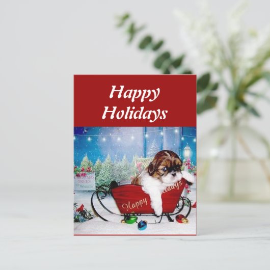 Prettige feestdagen (plural:) Shih Tzu (Staand voorkant)