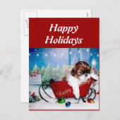 Prettige feestdagen (plural:) Shih Tzu (Voorkant / Achterkant)