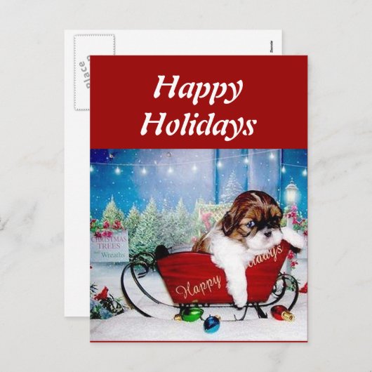 Prettige feestdagen (plural:) Shih Tzu (Voorkant / Achterkant)