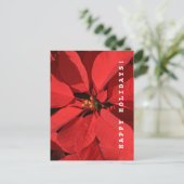 Prettige feestdagen Poinsettia Briefkaart (Staand voorkant)
